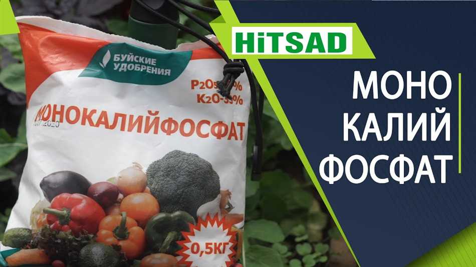 Для чего нужен монокалий фосфат в огороде?