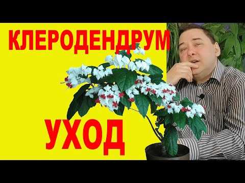 Обрезка