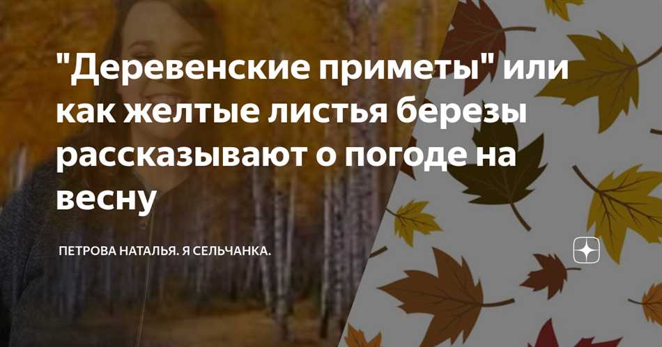 Воздействие окружающей среды на желтеющие листья у березы