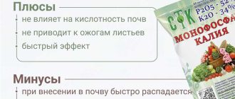 Как часто использовать монофосфат калия для подкормки растений