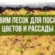 Как правильно добавлять песок в землю для посадки цветов?