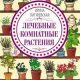 Как называются комнатные растения? Все синонимы в одной статье