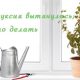 Как и когда правильно обрезать фуксию на зиму?