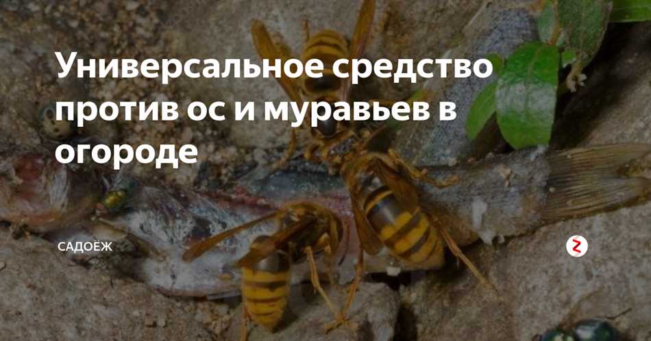 Применение борной кислоты на улице