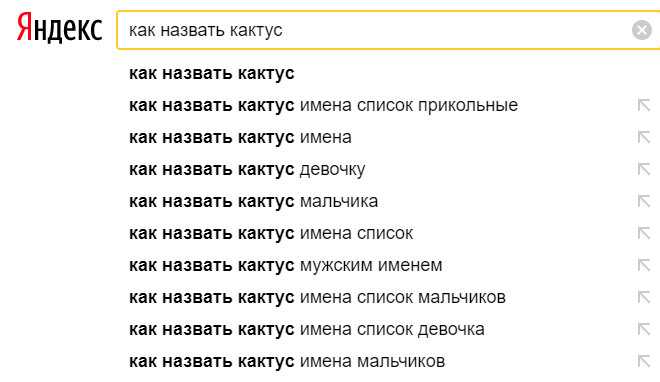 Как можно назвать кактус?