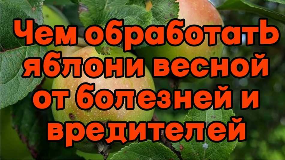 Раздел 1: Почему важно обрабатывать яблоню?