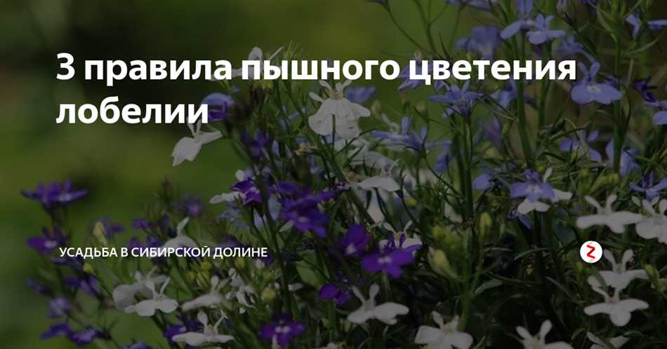 Выбор правильного времени для обрезки