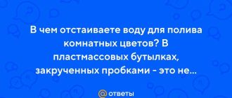 Как отстаивать воду для комнатных цветов открытая или закрытая?