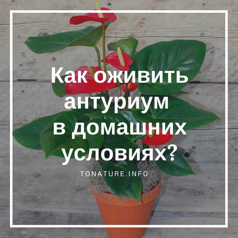 Что с учетом температуры в помещении?