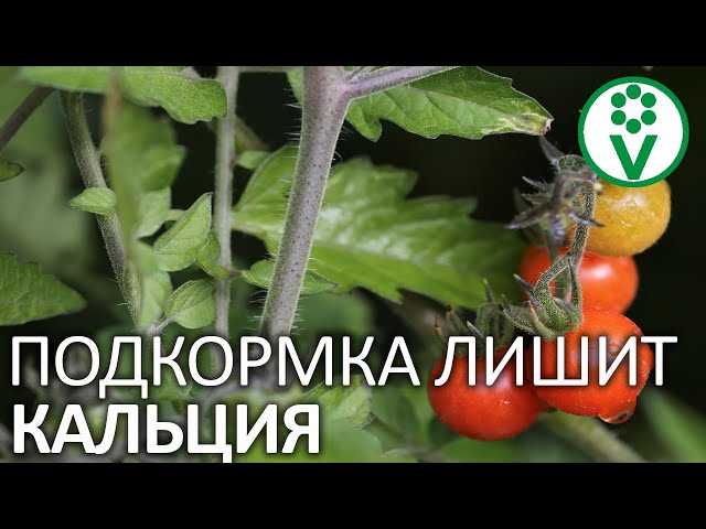 1. Монофосфат калия