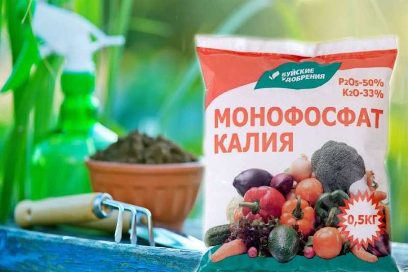 Влияние лимонной кислоты на растения