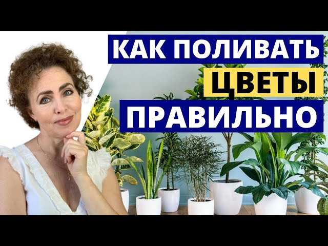 Как подкислить воду для полива цветов?