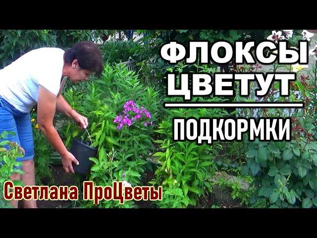 3. Жидкие удобрения