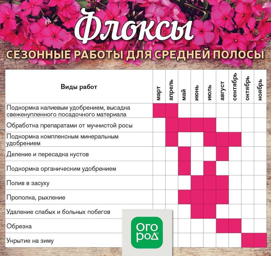 Правила применения удобрения для флоксов
