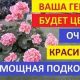 Как подкормить герань: советы и рекомендации