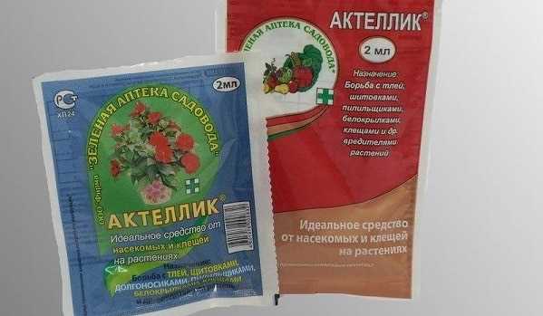 Размножение актеллика