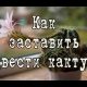 Как понять, что кактус готов к цветению: 5 признаков