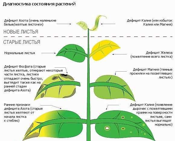 Нельзя забывать про симптомы болезни