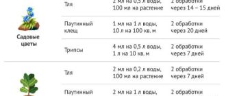 Разведение Фитоверма для обработки комнатных цветов от вредителей: пошаговая инструкция