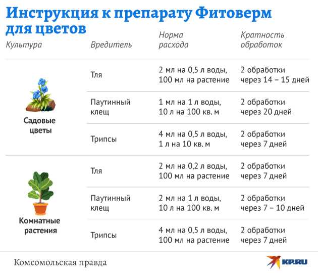 Как правильно развести Фитоверм для обработки комнатных цветов от вредителей?