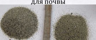 Как правильно смешать речной песок и грунт для цветов: советы и рекомендации