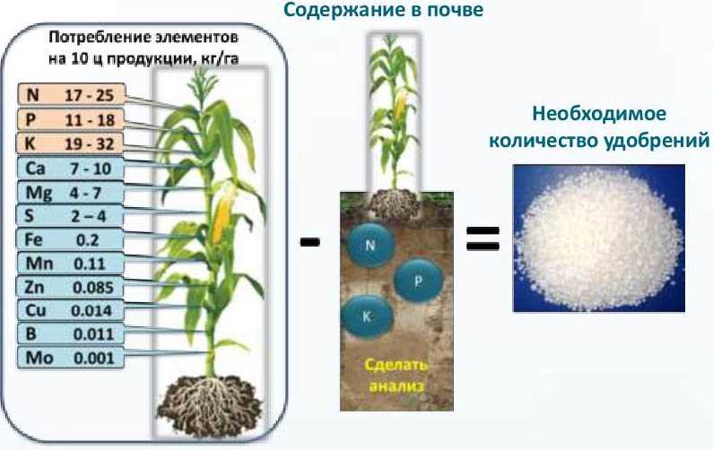 Анализ состава и кислотности почвы