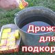 Как приготовить удобрение из дрожжей для растений