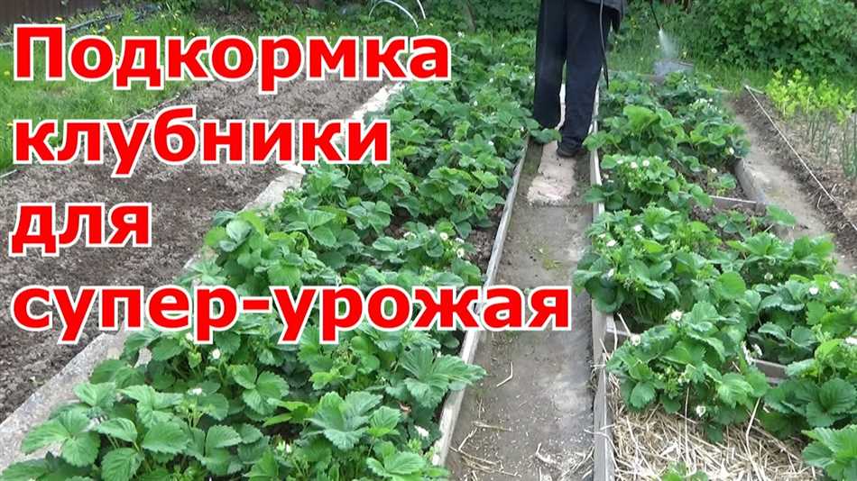 1. Оцените качество почвы