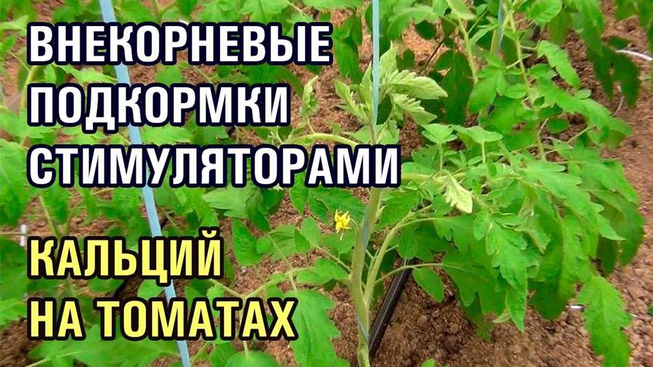 Частота проведения