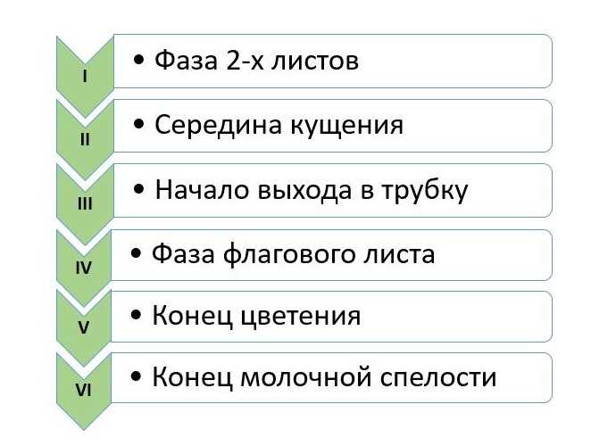 4. Забота о почве