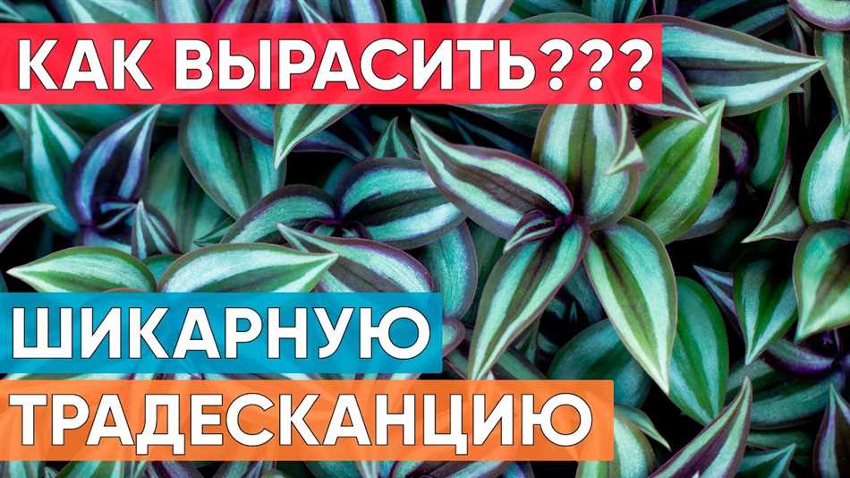 3. Ошибки, которые нужно избегать