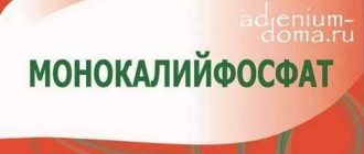 Как разводить монофосфат калия для внекорневой подкормки цветов