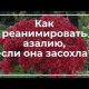 Как вернуть жизнь азалии: простые способы реанимации в домашних условиях