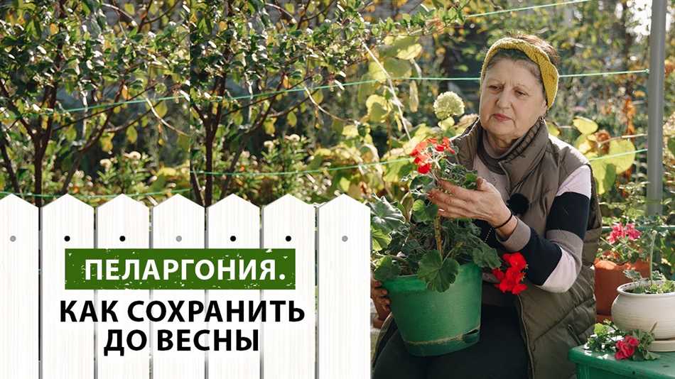 Выберите подходящее место для хранения