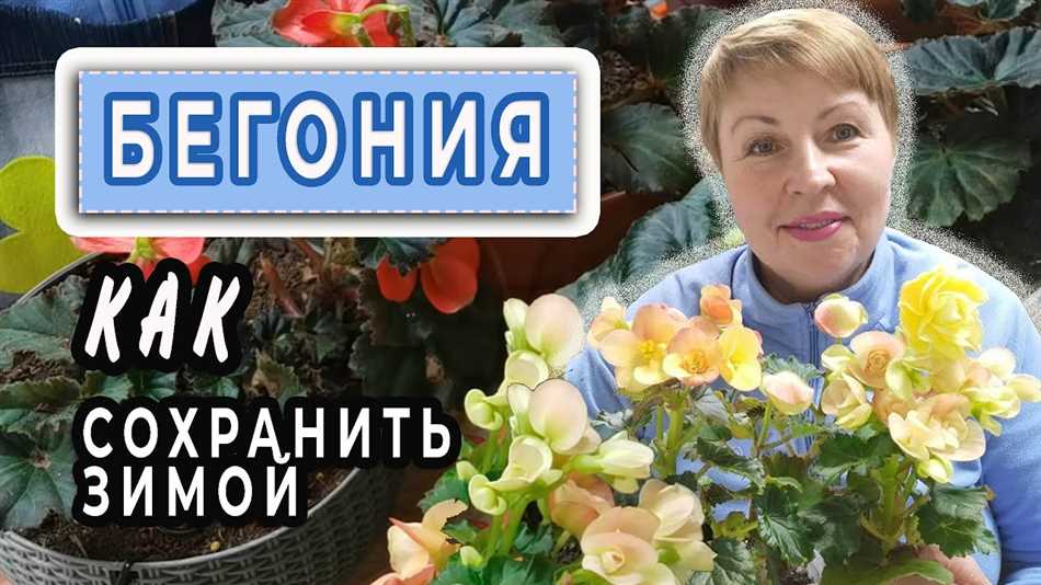 Выбор места хранения