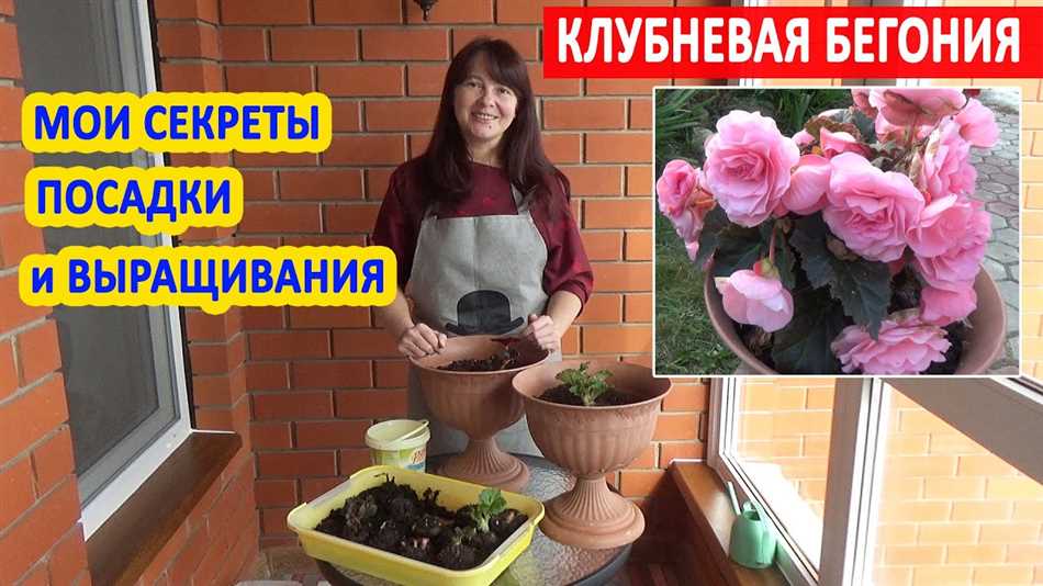 Температурный режим