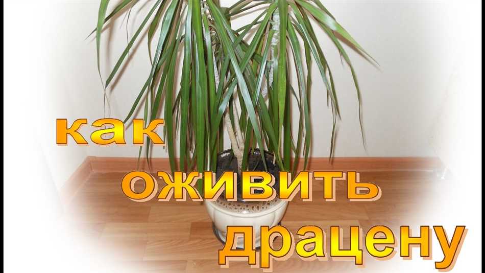 Вредители: