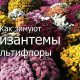 Как правильно зимует хризантема мультифлора в Подмосковье в открытом грунте