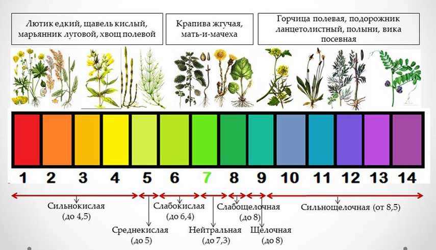 Создание оптимальных условий