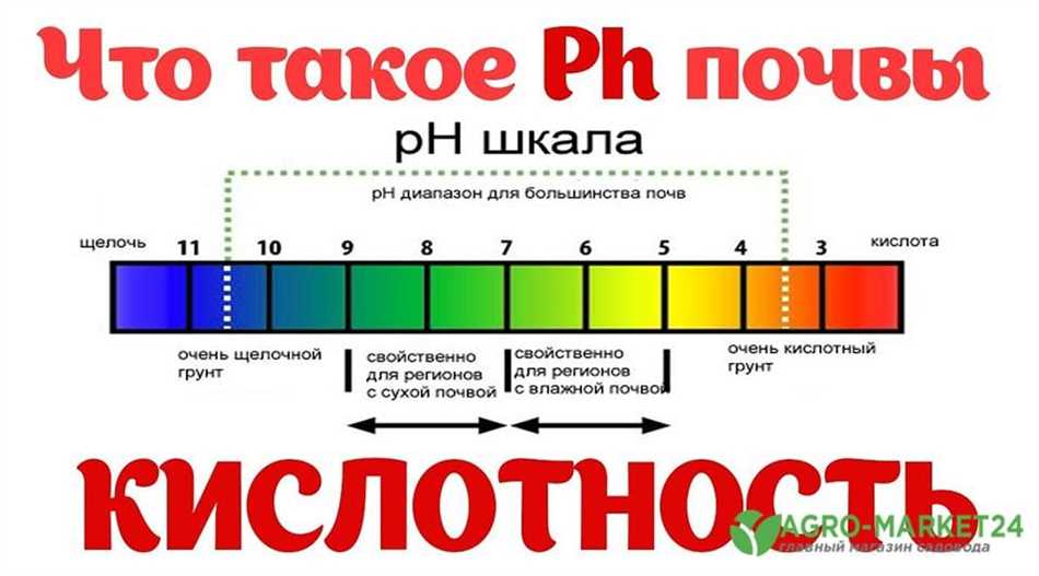 Используя тест-комплект или тест-полоски: