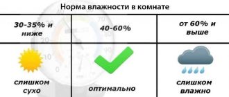 Как поддерживать оптимальную влажность в квартире, чтобы избежать плесени