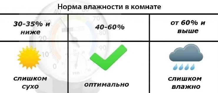 Какая влажность должна быть в квартире чтобы не было плесени?