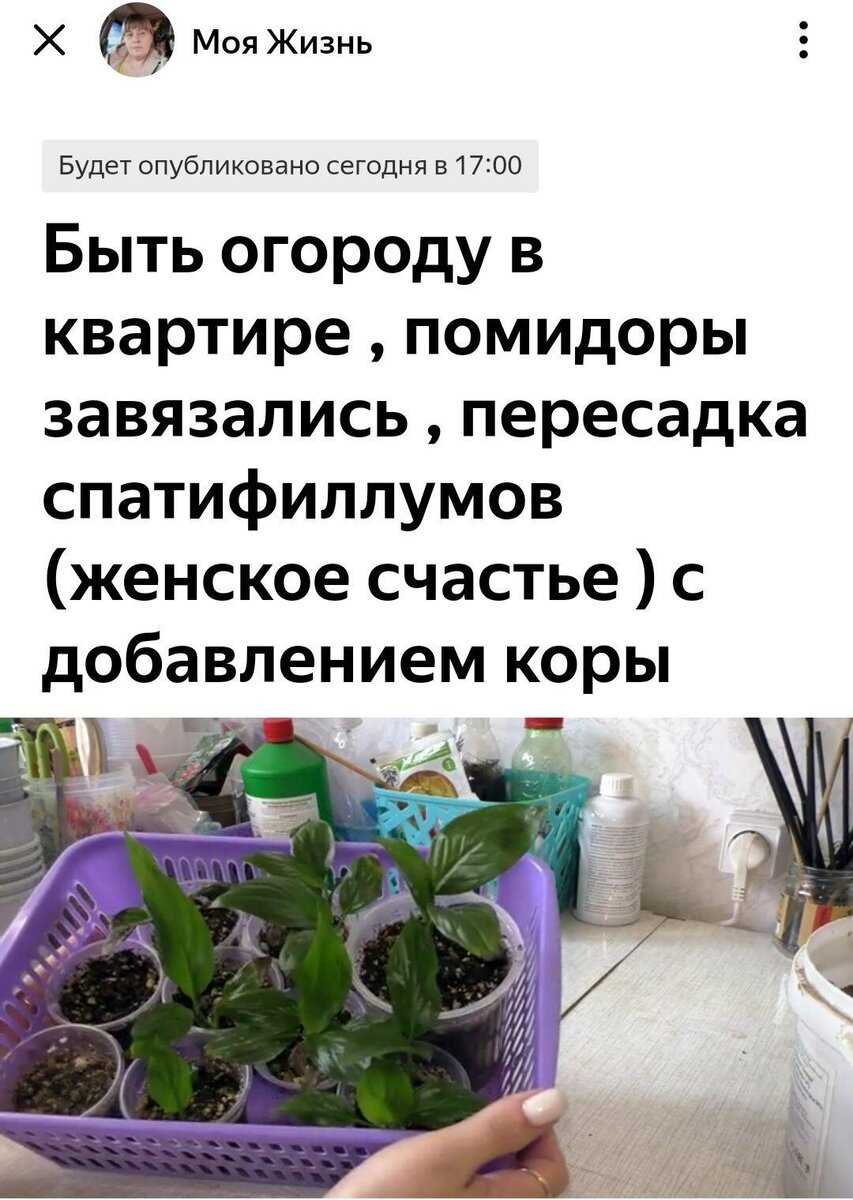 Творческая обстановка: как она помогает женщинам быть счастливыми в домашних условиях?