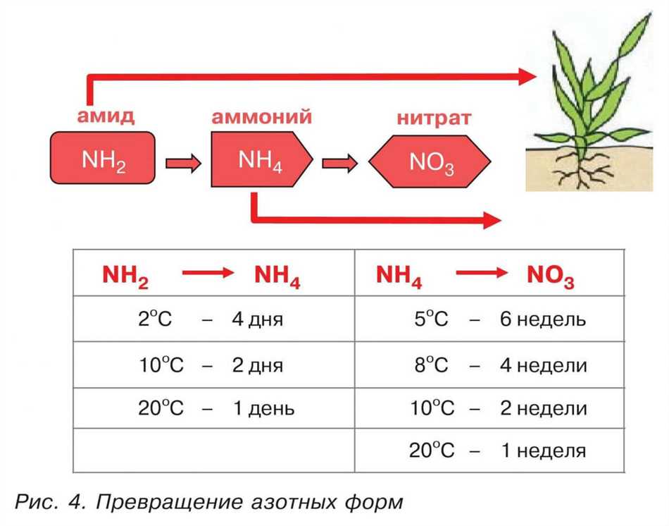 Правила применения