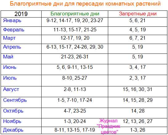 1. Выбор правильного горшка