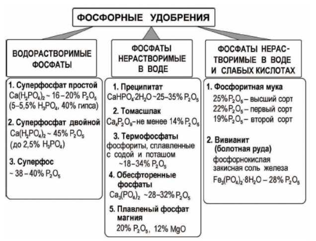 Фосфатные гранулы