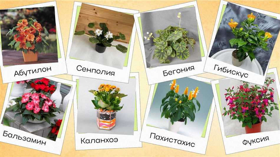Айстра