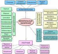 2. Посадите бобовые