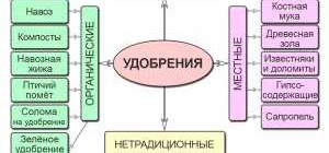 Экологические азотные удобрения: безопасные и эффективные методы