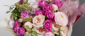 Какие цветы лучше подарить девушке на первом этапе знакомства?